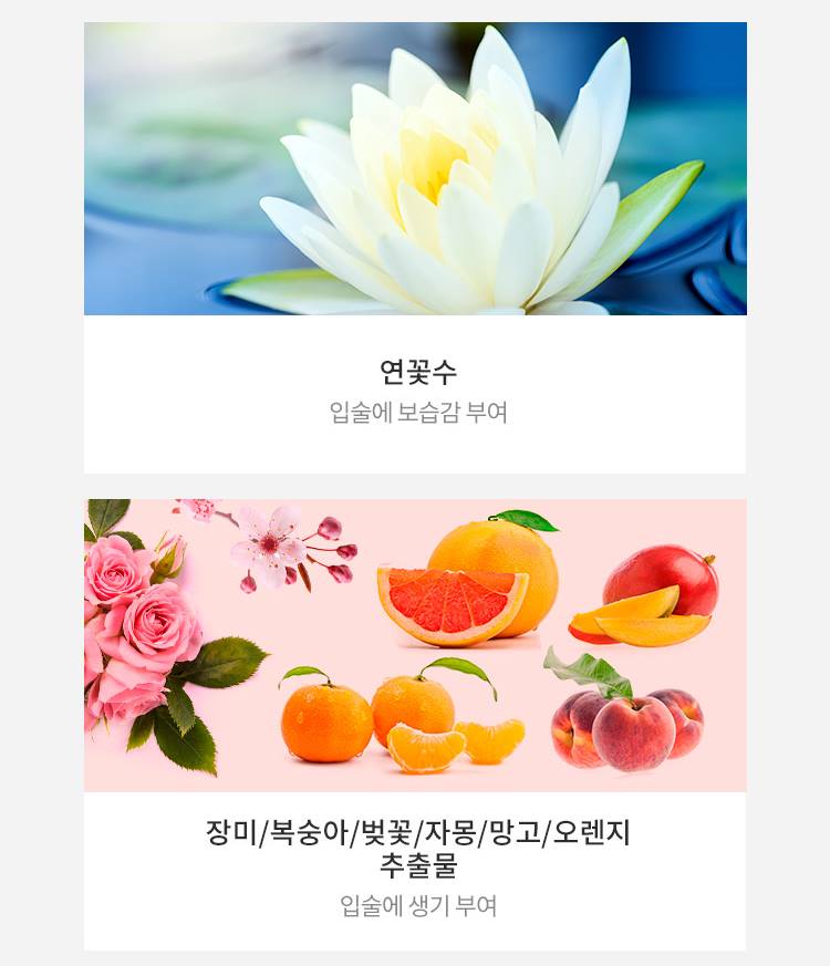 APIEU Water Light Tint (PK01) 4g Makeup Tools Beauty Womens Cosmetics