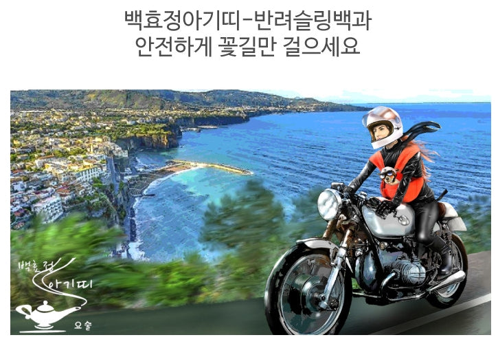 JANY WPAP Dogs Carrier Front Pack Slingbags Senior Medium Small Pets