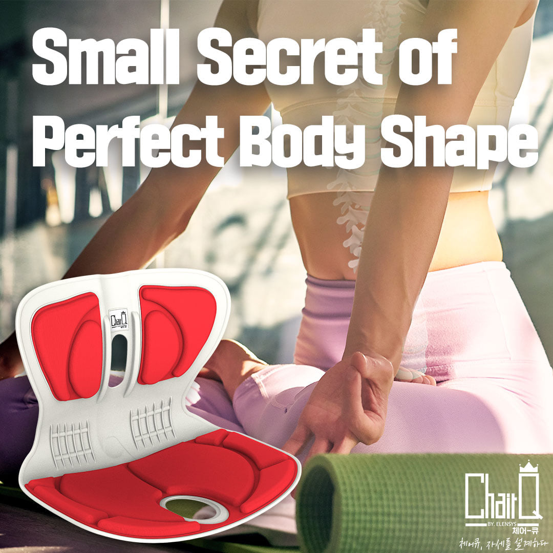 ChairQ Body Posture Correction Office Workers Student Turtle Neck