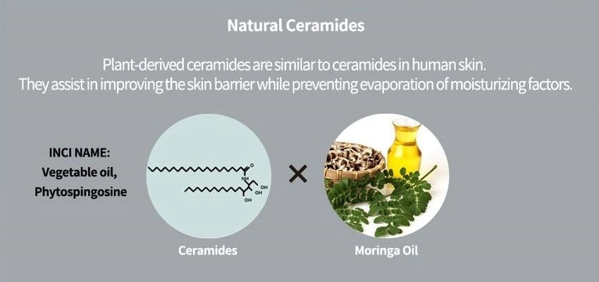 CLIO Kill Cover Ampoule Cushion With Refill Foundations Makeup BB Face