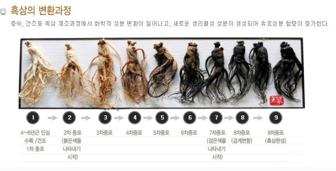 Korean Black Ginseng Extract Power 250g X 4 Bottles 1000g Health Blood