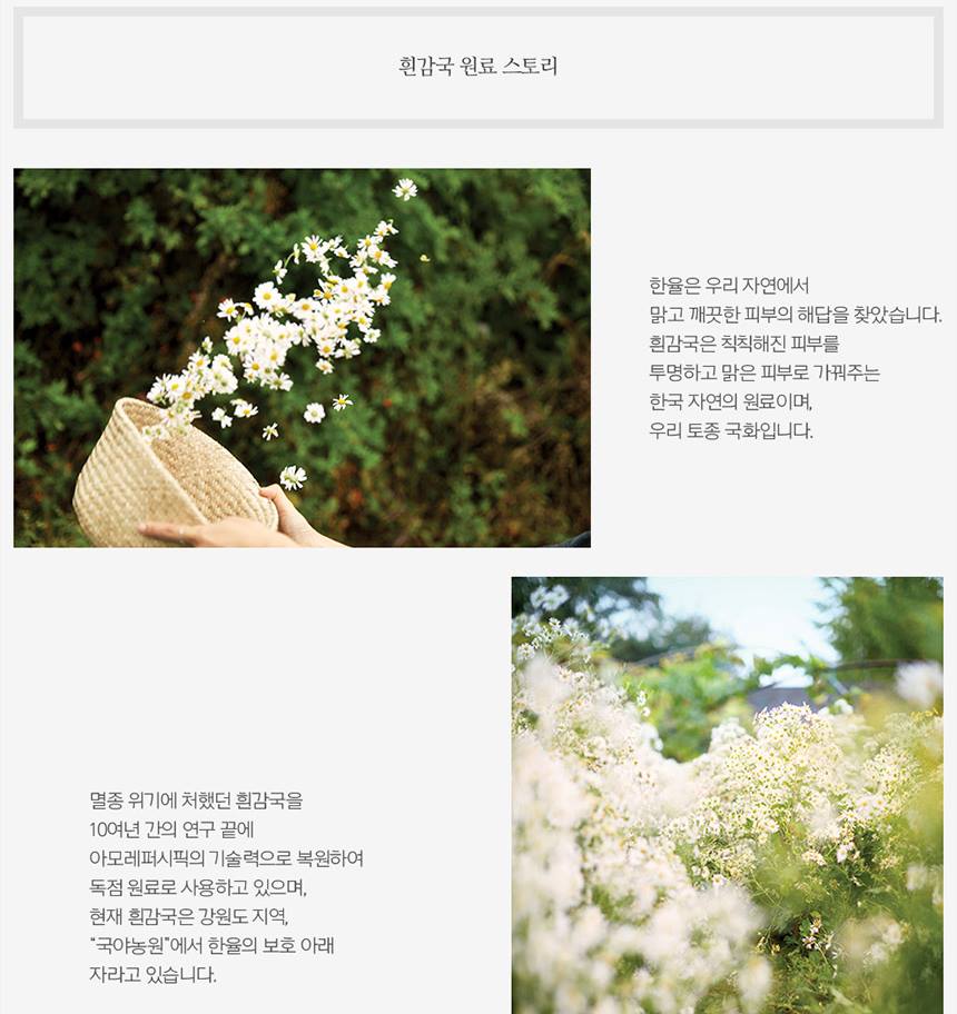 HANYUL White Chrysanthemum Matte Sunscreen Stick 17g SPF50+ PA++++