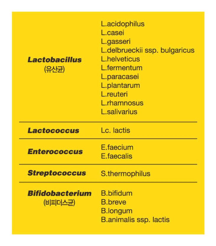 Kyung Nam Pharm Lemona Alive Lactobacillius Probiotics 20C 100pcs Zinc