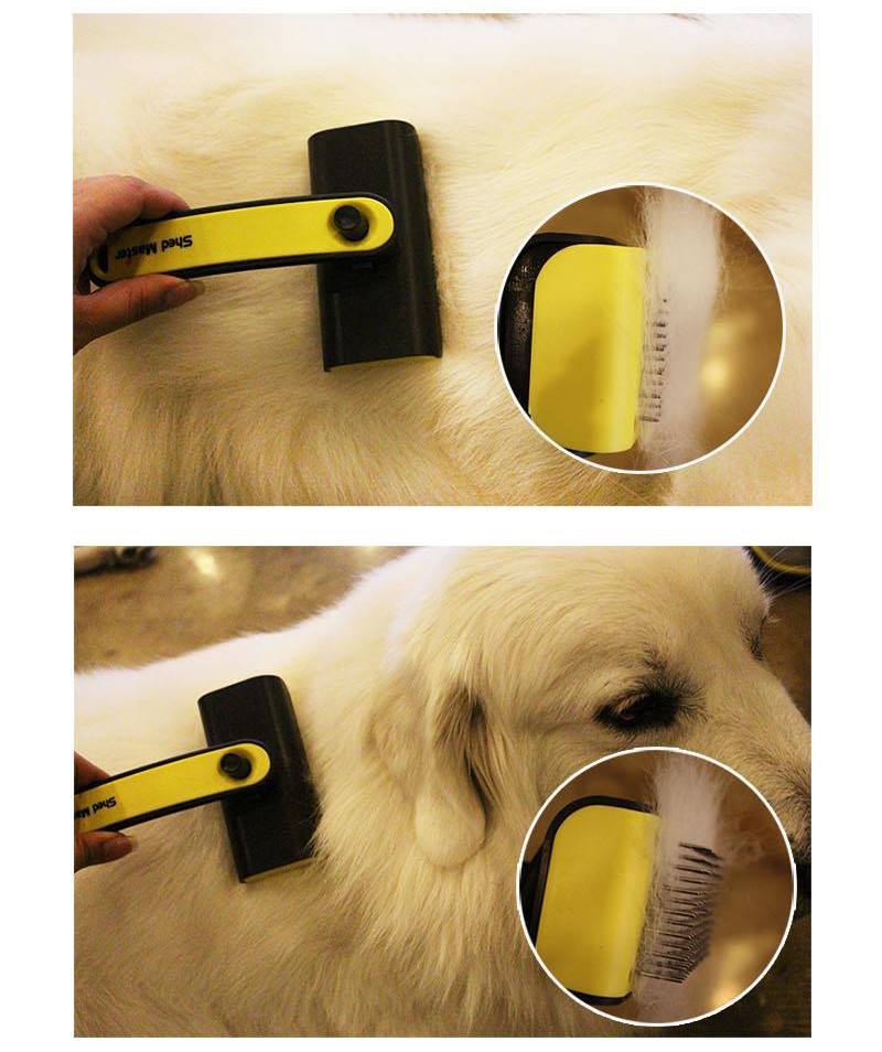 Pets Dogs Cats Brushes Grooming Pet Supplies Beauty Puppy