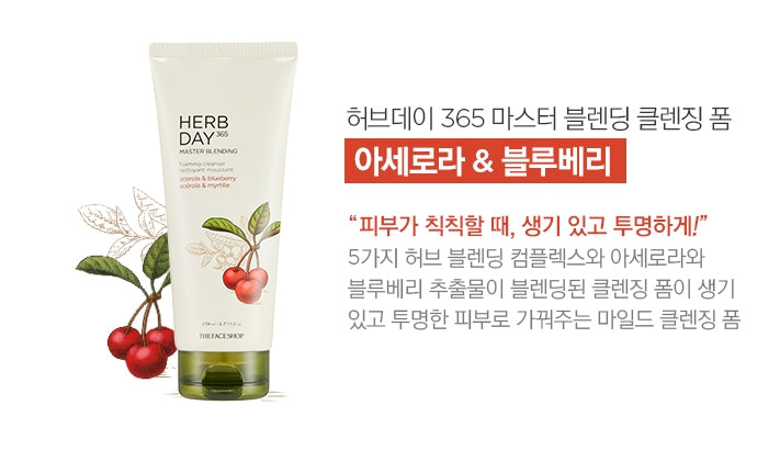 THE FACE SHOP HERB DAY MASTER BLENDING FOAMING CLEANSER SPECIAL SET