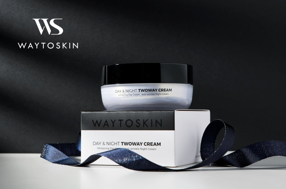 WAYTOSKIN DAY&NIGHT TWOWAY CREAM 100ml Korean Cosmetics Women Skincare