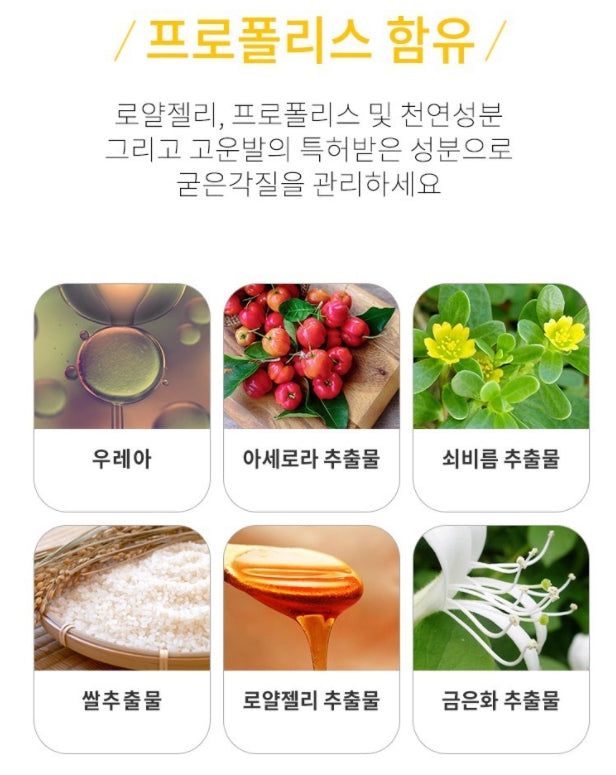 Well-Being Health Premium Foot Care Creams 110g Propolis Royal Jelly