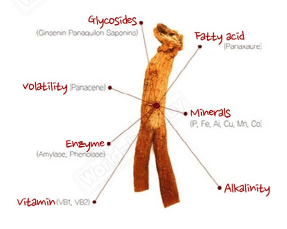 Cheong Kwan Jang Korean Red Ginseng Hwal Ki Dan Chewable Pill