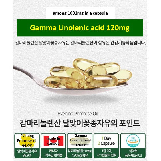 Naturalize GLA Gamma linolenic acid evening primrose Oil V Vegetable Capsules