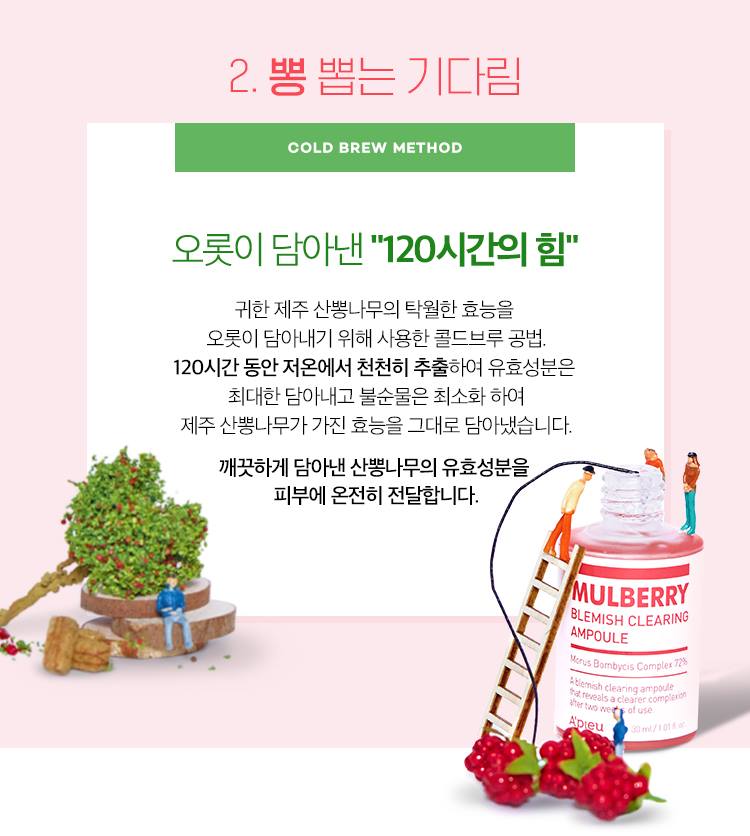 APIEU Mulberry Blemish Clearing Special Set 50ml+22ml Skin care