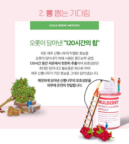 APIEU Mulberry Blemish Clearing Special Set 50ml+22ml Skin care