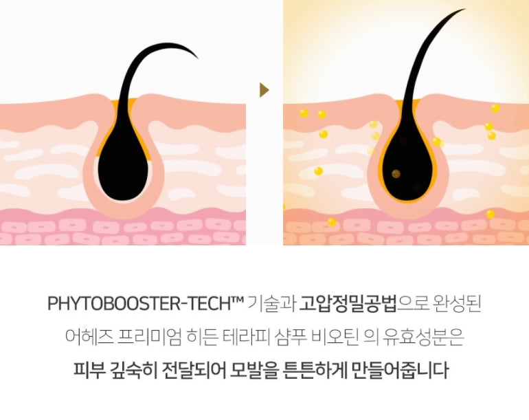 AHEADS PREMIUM HIDDEN THERAPY SHAMPOO BIOTIN 430ml Hair loss Korean