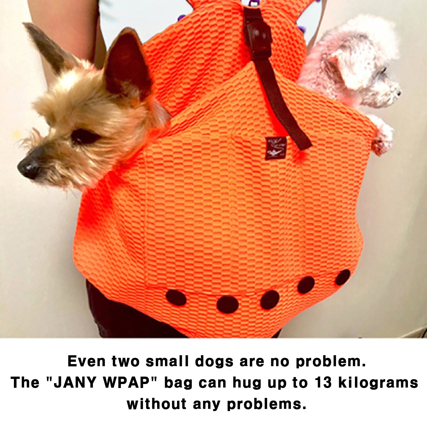 JANY WPAP Dogs Carrier Front Pack Slingbags Senior Medium Small Pets