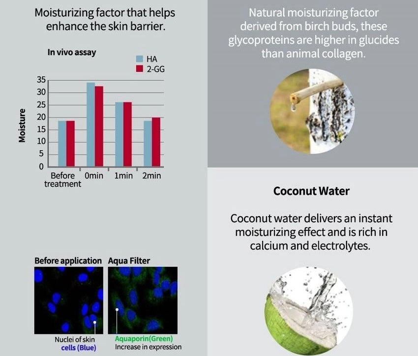 CLIO Kill Cover Ampoule Cushion With Refill Foundations Makeup BB Face