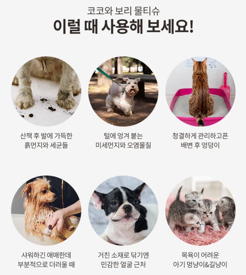 COCO&BORI It's Honey Wet Wipes 80 Wipes For Pets Bath Care Premium Dog Cat Supplements