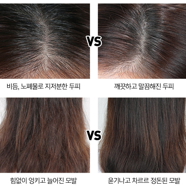 CP-1 Ginger Purifying Shampoo 500ml Repairs Scalp, Damaged Hair