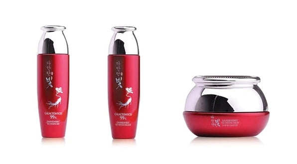 DAANDANBIT PREMIUM RED GINSENG 3SET Korean Beauty Skin Care Cosmetics
