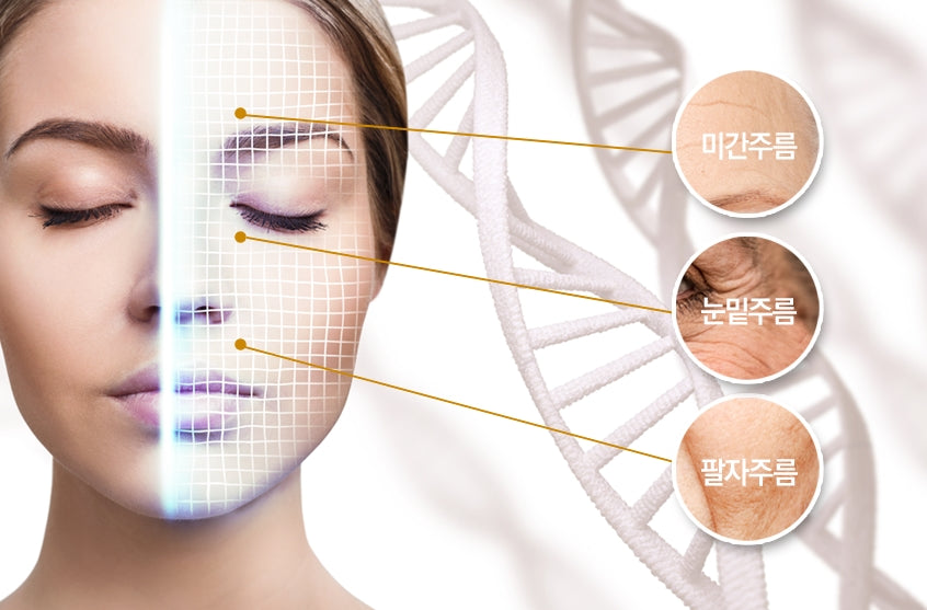 Ditebeau Micro Needle Patch Winning Age Solution Korean Skincare Women