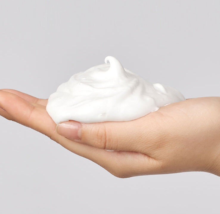 Easydew ex Clean Control Double Whip Foam 150ml Sensitive Skin Barrier Moisture Hypoallergenic Facial Cleanser