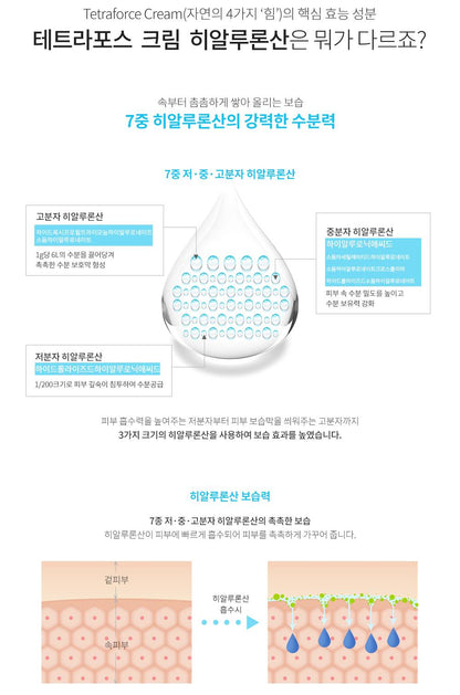 ElishaCoy Tetraforce Cream 50g moisturizer Tea Tree Centella Asiatica