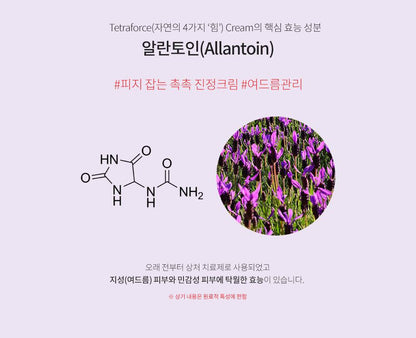 ElishaCoy Tetraforce Cream 50g moisturizer Tea Tree Centella Asiatica