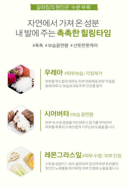 FACE REVOLUTION Urea 10 Foot Cream 100g Soothe Dry Skin Massage Moist