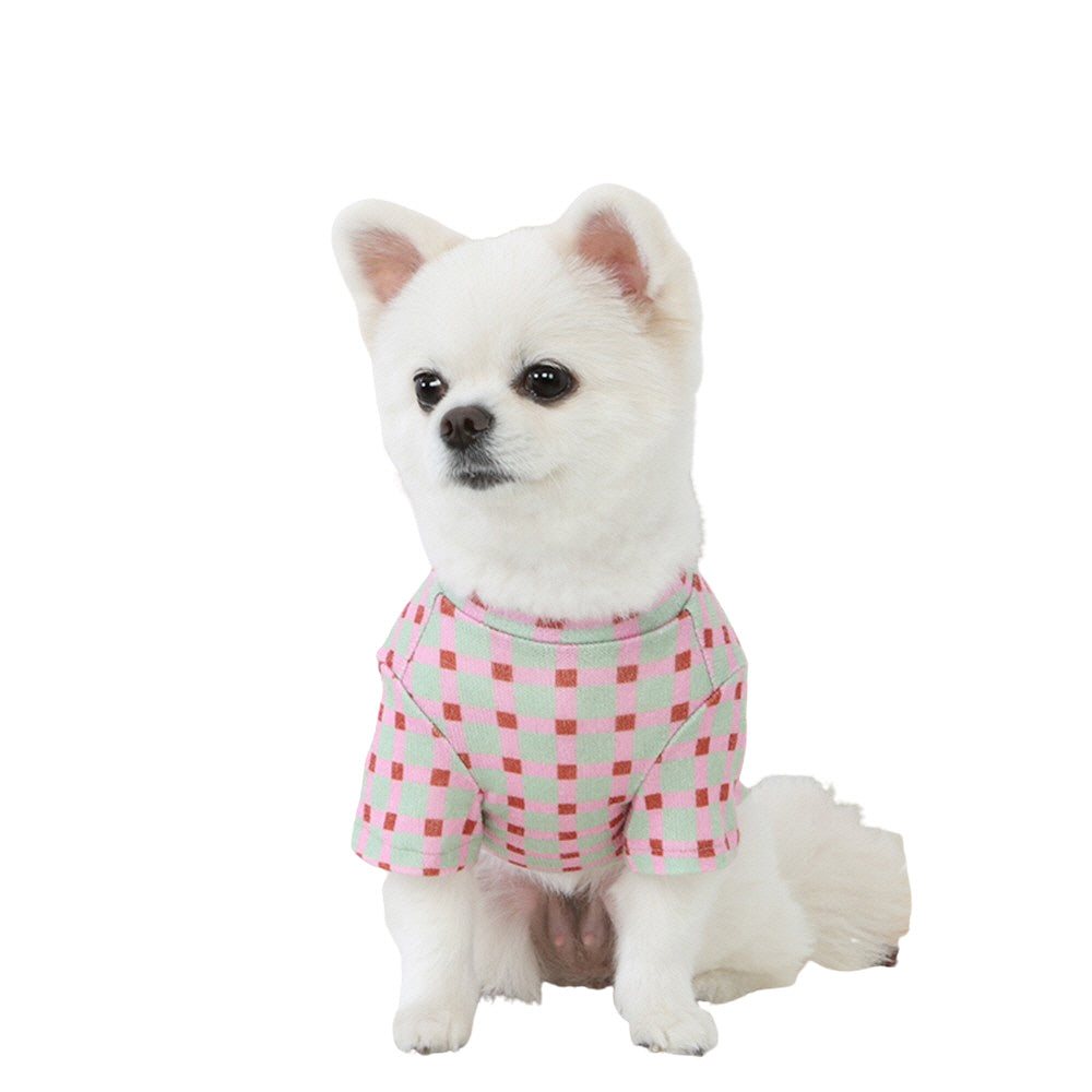 R logo Dogs Clothes Checked patterned Casual Cute Comfortable Clothing Sweaters Korean Designers Apparel Outfits Pastel Colours Pets Knit Banding
