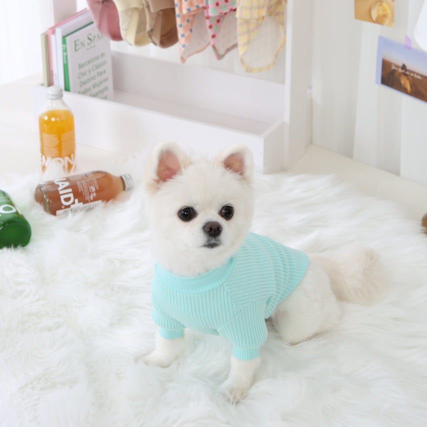 R logo Dogs Clothes Waffle patterned Casual Cute Comfortable Clothing Korean Designers Apparel Outfits Bright Colours Pets