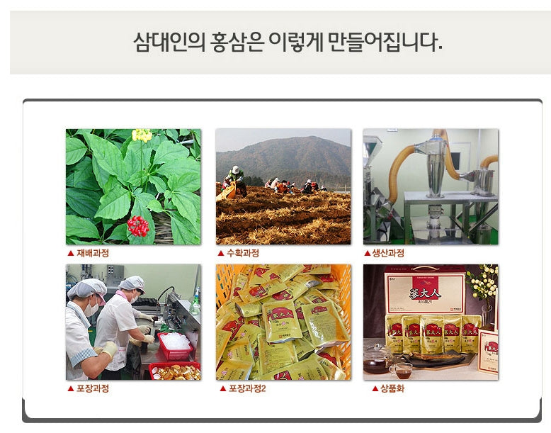 Samdaein Korean Red Ginseng Hongsam Mint Pop Candy Gifts Health Foods