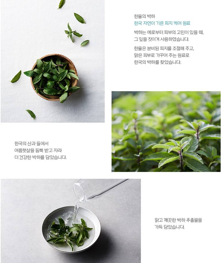 HANYUL Mentha Peppermint Trouble Toners 300ml Acne care Cosmetics