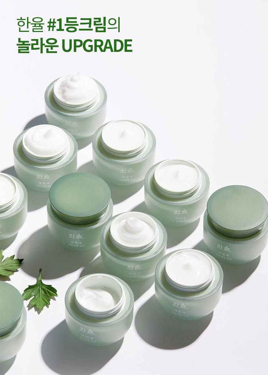 HANYUL Mugwort Moisture Soothing Creams 50ml Skin care Cosmetics