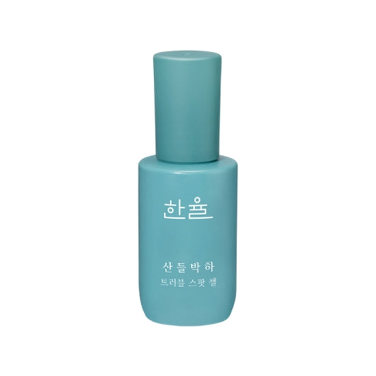 HANYUL Peppermint Trouble Spot Gels 20ml Skin care Cosmetics Acne care