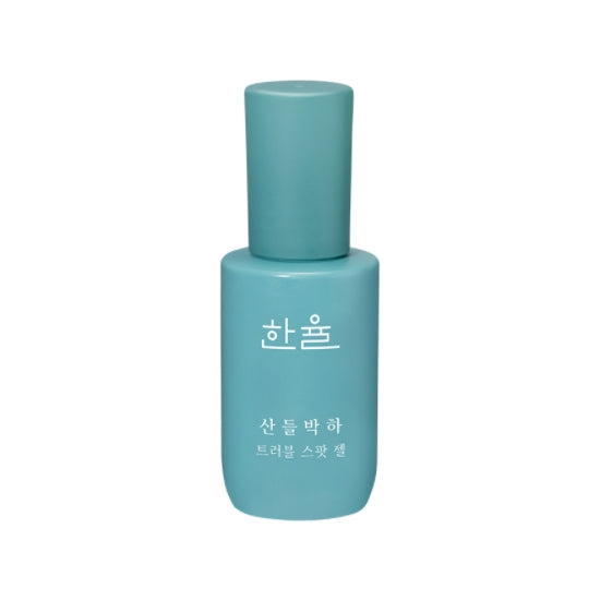 HANYUL Peppermint Trouble Spot Gels 20ml Skin care Cosmetics Acne care