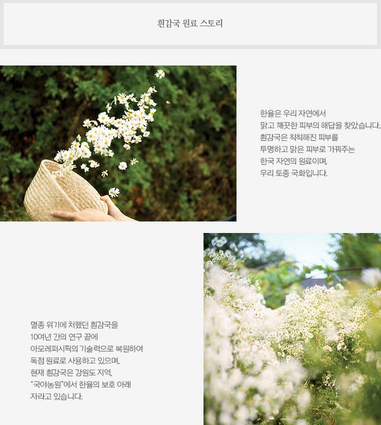 HANYUL White Chrysanthemum Radiance Serums 40ml Skin care Cosmetics