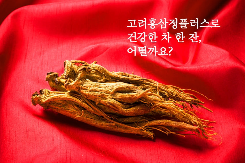 Korean Red Ginseng Extract Plus 1000g Best Health Care Food Supplements