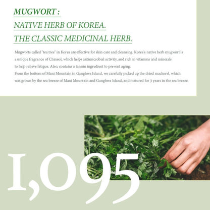 I'm From Mugwort Mask 110g Sensitive Skin Care Cooling Soothing Beauty