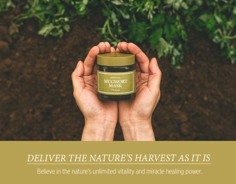 I'm From Mugwort Mask 110g Sensitive Skin Care Cooling Soothing Beauty