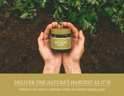 I'm From Mugwort Mask 110g Sensitive Skin Care Cooling Soothing Beauty