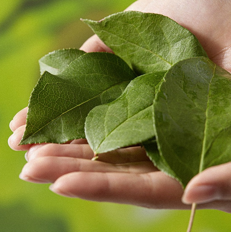 l'm From Pear Serum Sensitive Dry Skincare Soothing Moisture Ampoule