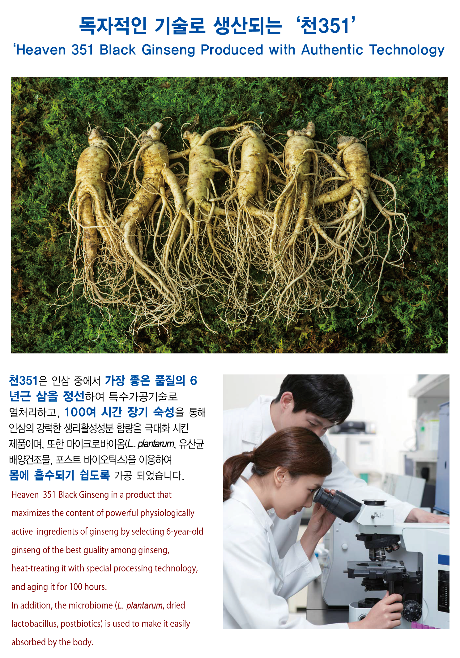 Heaven Grade 351 Black Ginseng Rootlet Roots 6 Pieces Premium Korean 6 Years Old Health Supplements Foods Gifts