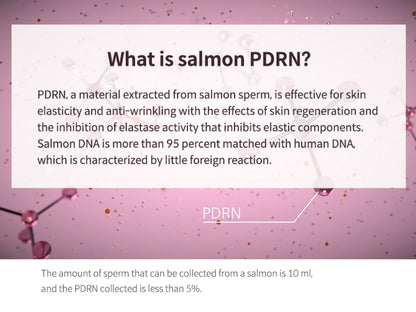 KAHI Wrinkle Bounce Core Cream 50ml Dry Skin Barrier Elastics Collagen