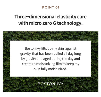 KAHI Wrinkle Bounce Core Cream 50ml Dry Skin Barrier Elastics Collagen