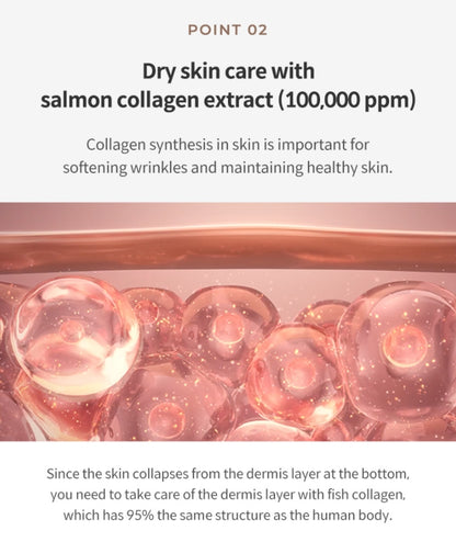 KAHI Wrinkle Bounce Core Cream 50ml Dry Skin Barrier Elastics Collagen