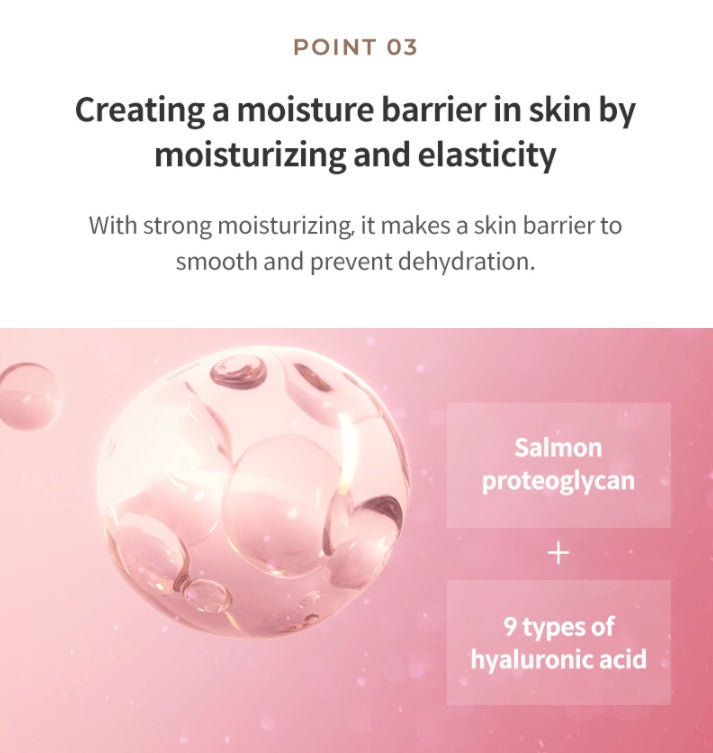 KAHI Wrinkle Bounce Core Cream 50ml Dry Skin Barrier Elastics Collagen