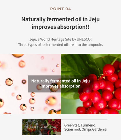 KAHI Wrinkle Bounce Core Cream 50ml Dry Skin Barrier Elastics Collagen