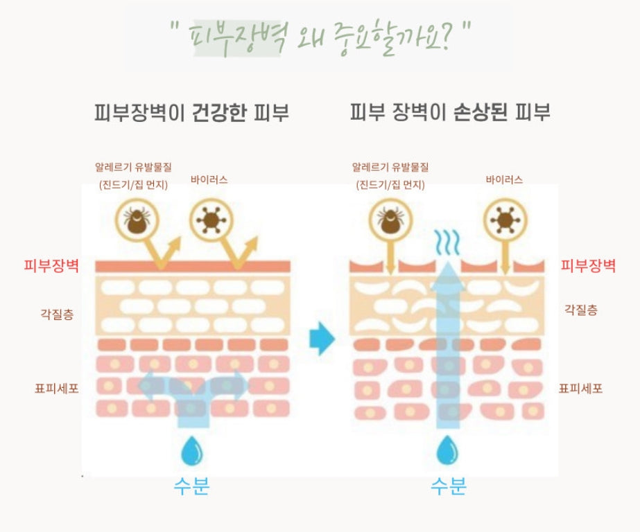 KUC Gold Snail Therapy Extra Moisture Skin Toner Emulsion Sensitive Skin Barrier Pore