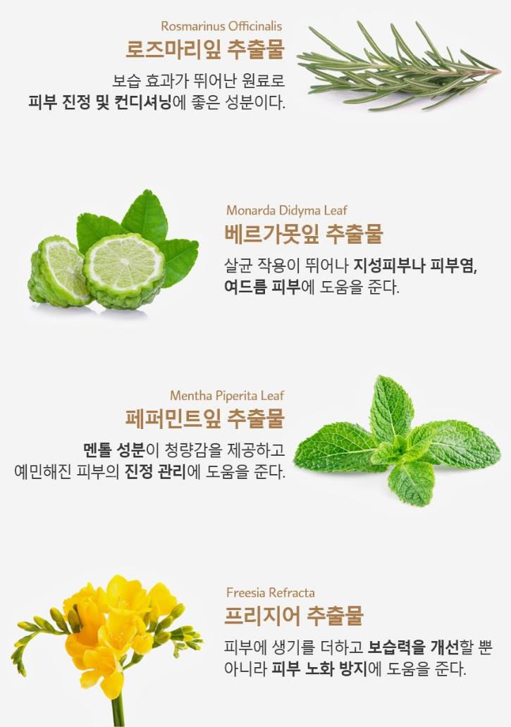 JANTBLANC Green Tea Balancing Women Skin Care Sets Soothing Dry herbal