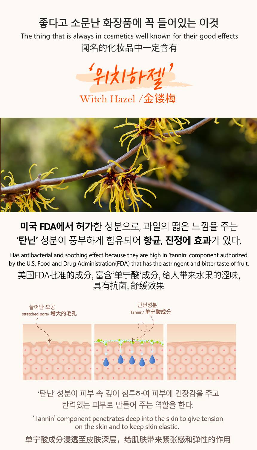 JANT BLANC Witch Hazel Natural 3 Sets soothing sebum Moisturizing