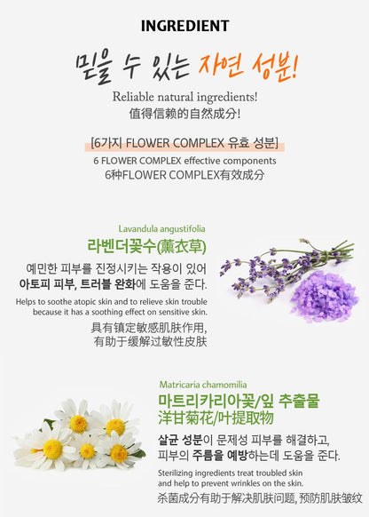 JANT BLANC Witch Hazel Natural 3 Sets soothing sebum Moisturizing