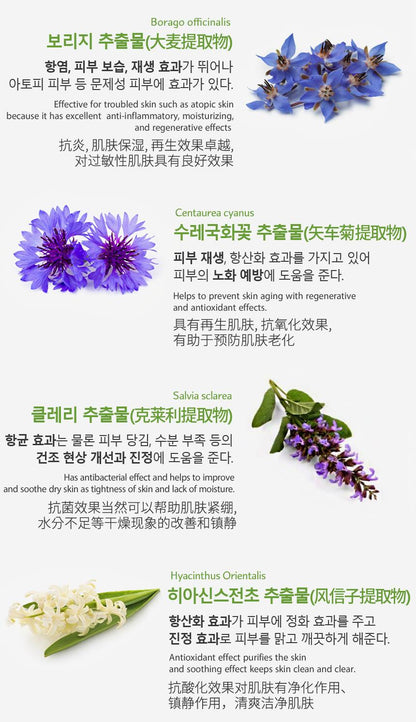 JANT BLANC Witch Hazel Natural 3 Sets soothing sebum Moisturizing